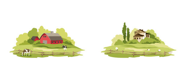 Set of village landscapes. Vector illustration, fields and meadows with cows, lambs, mill and farm houses. fiels stock illustrations