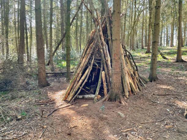 istock Woodland Hut 1314478040