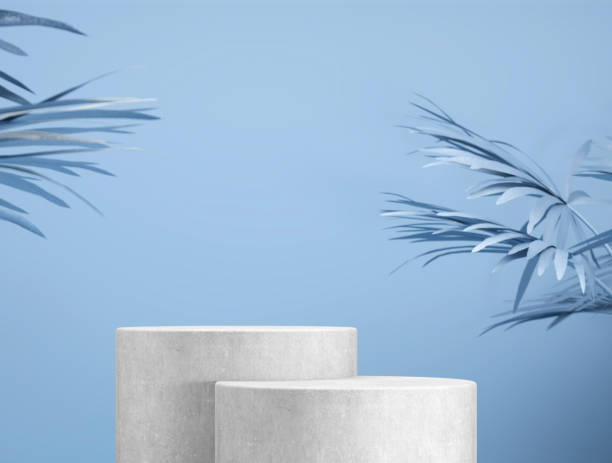 istock abstract template as presentation stage with leaf in front of background 1314478786