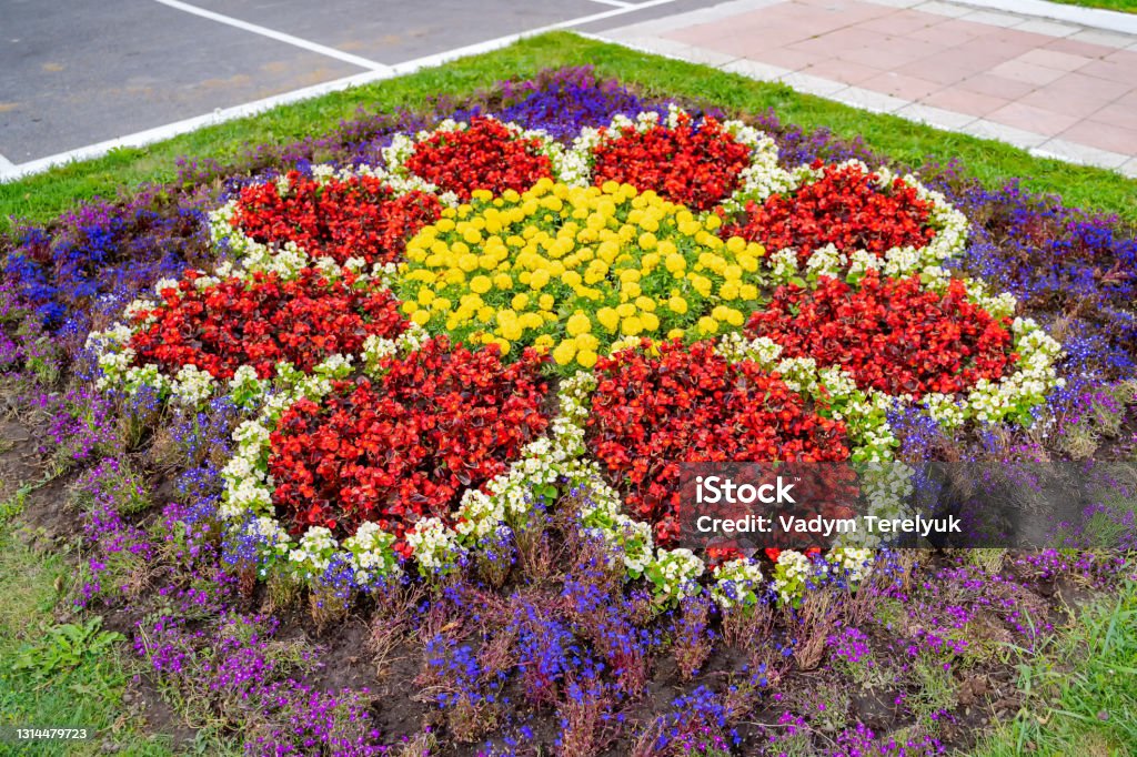 Flowerbed with multicolored species of flowers. Breathtaking view on nature. Back Yard Stock Photo