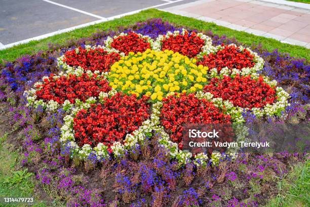 Flowerbed With Multicolored Species Of Flowers Breathtaking View On Nature Stock Photo - Download Image Now
