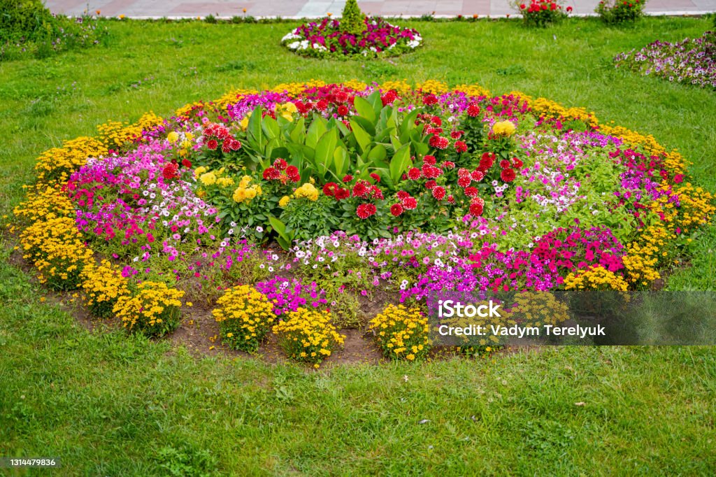 Hermosas Flores En Bonitos Paisajes Campo De Flores De Tulipán Foto de stock y más banco de imágenes de Aire libre - iStock Hermosas Flores En Bonitos Paisajes Campo De Flores De Tulipán Foto de stock y más banco de imágenes de Aire libre - iStock