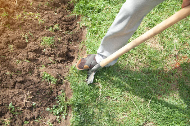 istock Farmer digs soil with shovel in garden. 1314481408