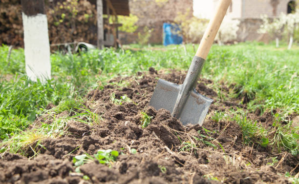 istock Shovel in soil in the garden. 1314481473