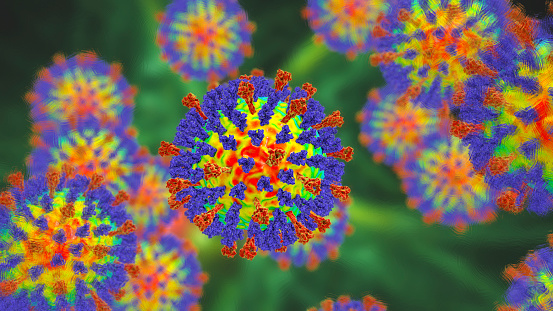 Measles viruses, 3D illustration showing viral surface glycoprotein spikes heamagglutinin-neuraminidase (blue) and fusion protein (red)