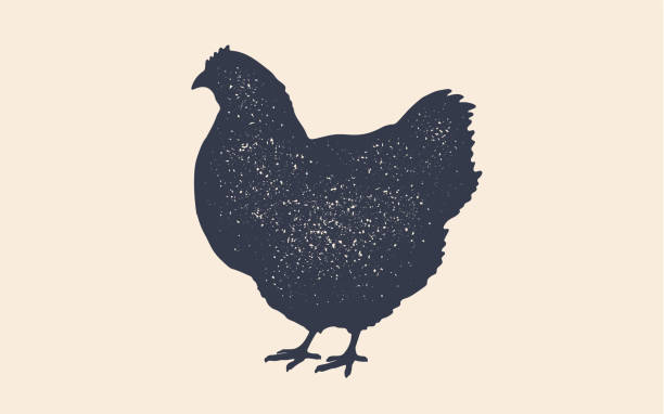 illustrazioni stock, clip art, cartoni animati e icone di tendenza di gallina, pollo. logo vintage, stampa retrò, poster - chicken silhouette animal rooster