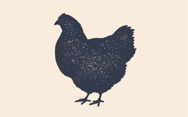 курица, курица. винтажный логотип, ретро печать, плакат - chicken silhouette animal rooster stock illustrations