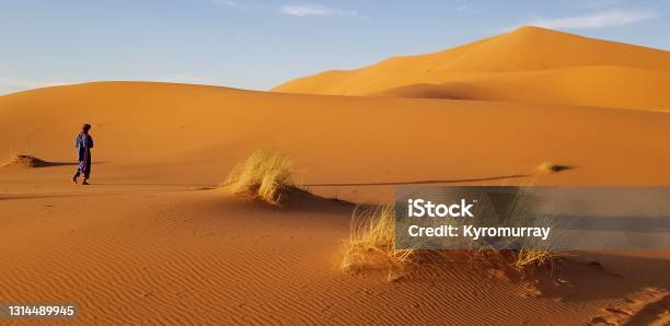 Moroccan Desert Walk Stock Photo - Download Image Now - Sahara Desert, Sunlight, Adult