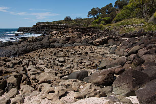 paisaje en pebbly beach en el parque nacional murramarang en australia - parque nacional murramarang fotografías e imágenes de stock