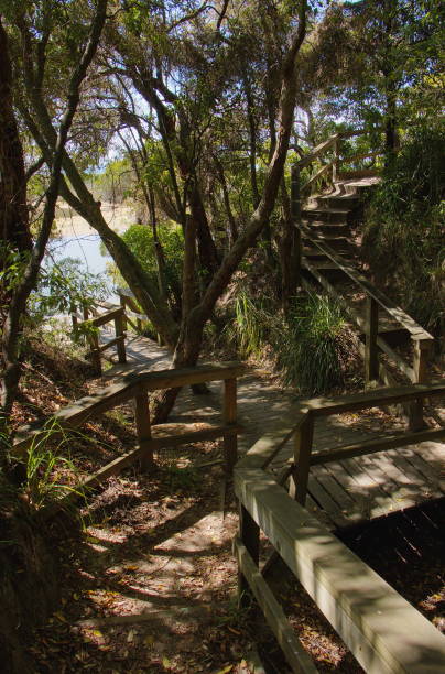 istock Coastal path at Mallacoota in Victoria in Australia 1314491282