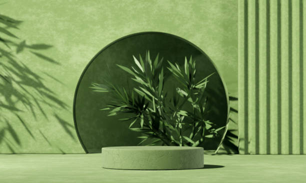 minimal abstract background with 3d concrete podium display with green leaves - tree set imagens e fotografias de stock