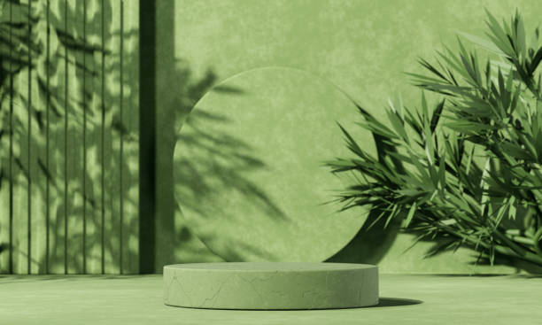 istock Minimal abstract background with 3D concrete podium display with green leaves 1314491458