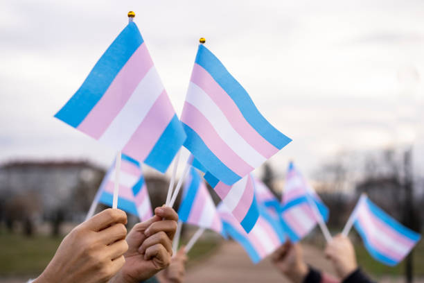 istock Diverse people holding transgender flags 1314491477