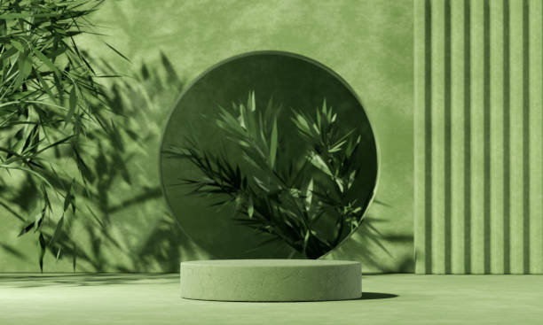istock Minimal abstract background with 3D concrete podium display with green leaves 1314491529