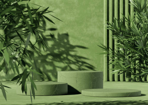 istock Minimal abstract background with 3D concrete podium display with green leaves 1314491622
