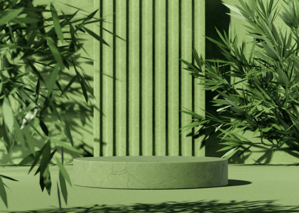 istock Minimal abstract background with 3D concrete podium display with green leaves 1314492545