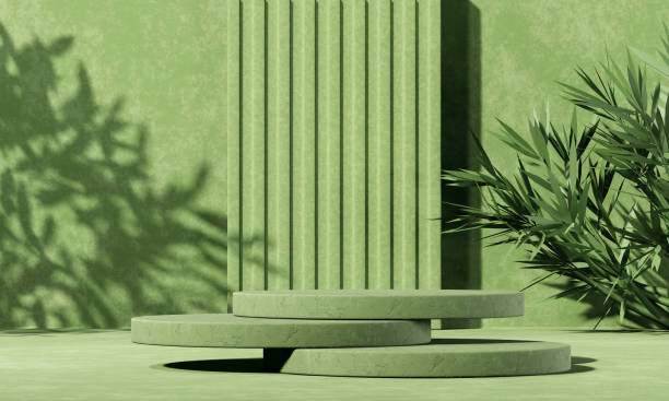 istock Minimal abstract background with 3D concrete podium display with green leaves 1314492632