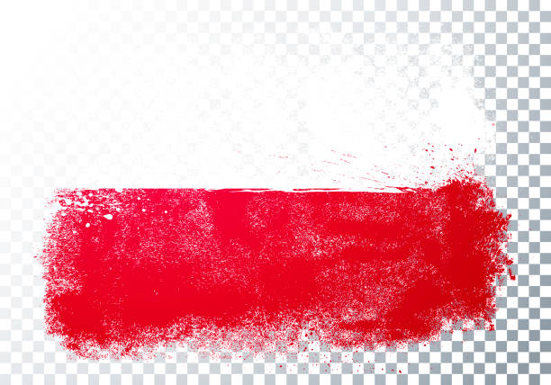 ilustraciones, imágenes clip art, dibujos animados e iconos de stock de ilustración vectorial grunge y bandera angustiada de polonia - polonia