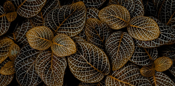 istock abstract green leaf texture, nature background, tropical leaf 1314494114