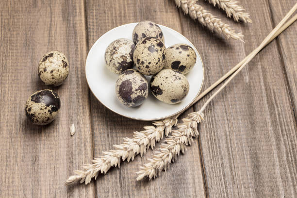 istock Quail eggs on white saucer. Spikelets of wheat and two eggs on table. 1314495003