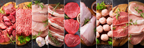 collage de alimentos de varios tipos de carne fresca, vista superior - pavo carne blanca fotos fotografías e imágenes de stock