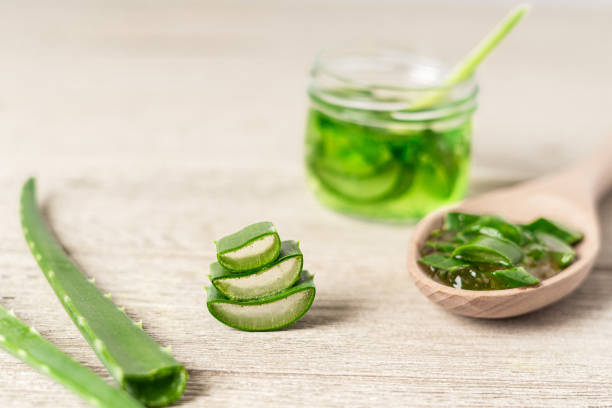 istock Fresh aloe vera plant, stem slices and gel 1314496541