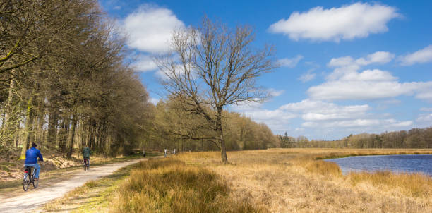 istock Couple riding their bicycle in nature reserve Duurswouderheide 1314497980