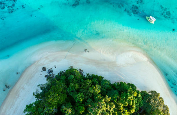 la plage tropicale d’île qui l’île tropicale luxuriante verte dans une mer bleue et turquoise avec des îles à l’arrière-plan - caïman photos et images de collection