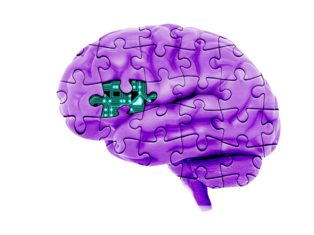 istock 3d human brain illustration made of joint jigsaw puzzle missing one circuit electronic artificial intelligence evolution technology concept image isolated on white. 1314500519