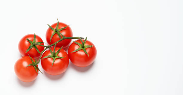 istock red ripe tomatoes on a green branch on white background 1314503655