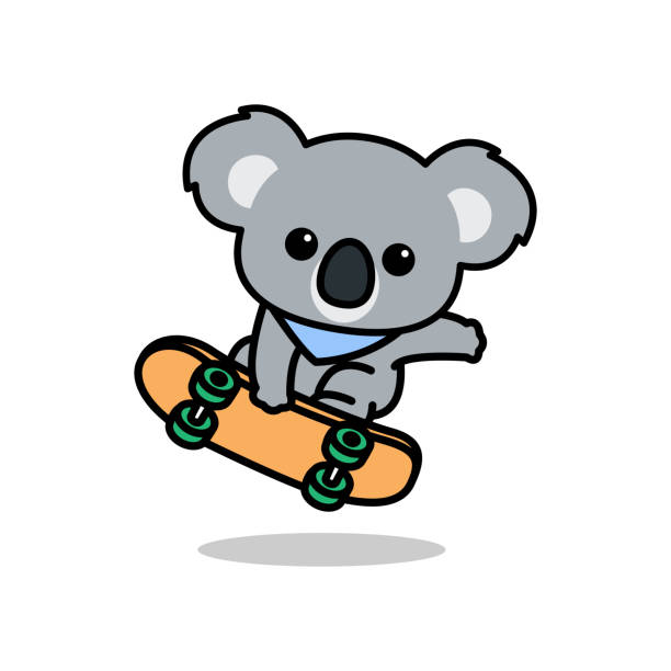 симпатичные коала играет скейтборд мультфильм, вектор иллюстрации - koala stock illustrations