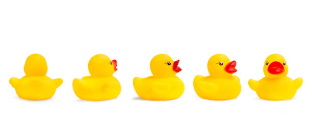 istock A yellow rubber toy duck isolated on a white background 1314504355