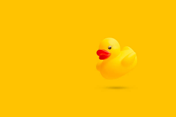 istock A yellow rubber toy duck floating on a yellow background 1314504358