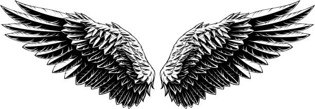 Vector illustration, spread wings of an eagle Vector illustration, spread wings of an eagle, on a white background wings tattoos stock illustrations