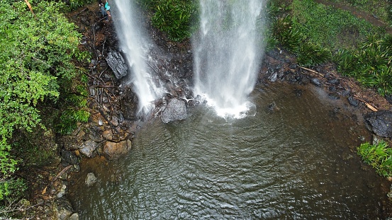 Springbrook National Park