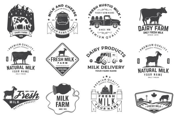 świeża rustykalna plakietka mleczna, logo. wektor. typografia z krową, farmą mleka, sylwetką ciężarówki. szablon dla branży mleczarskiej i mlecznej - sklep, rynek, opakowania i menu - semi skimmed milk stock illustrations