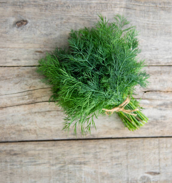 istock fresh home herbs from the garden. Dill. Selective focus. 1314508494