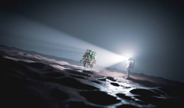 istock Astronaut discovers green plant on Mars 1314509763