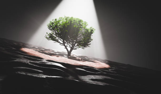 istock Discovering green plant on Mars 1314509764