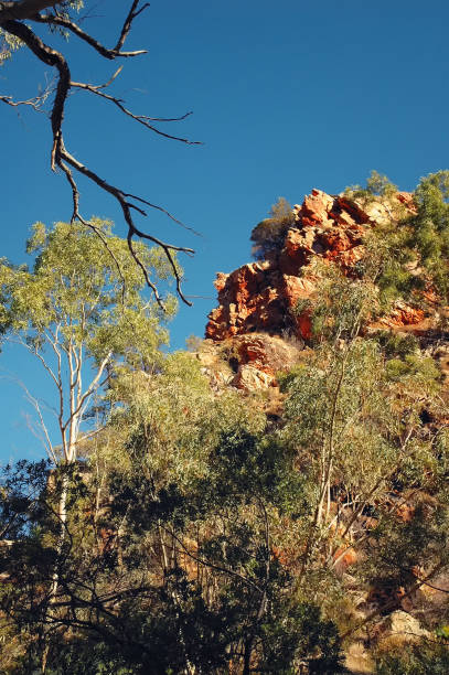istock Watarrka National Park , Northern Territory, Australia 1314509941