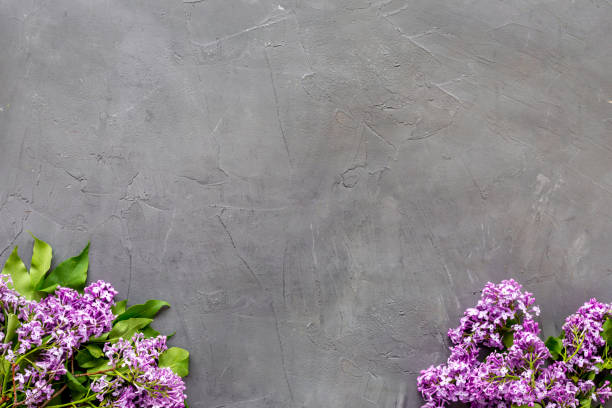 istock Flat lay composition of spring flowers - branches of lilac top view 1314510621
