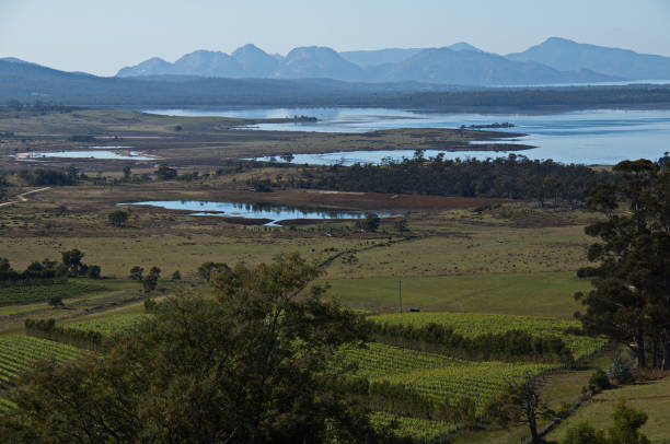 istock Coastline at Swansea in Tasmania 1314514054