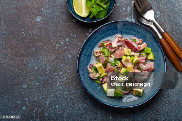 Peruvian Ceviche With Fresh Fish And Seafood On Plate From Above Copy Space Stock Photo - Download Image Now