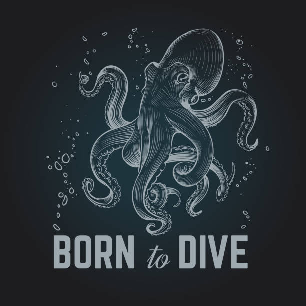 Octopus poster. Born to dave vintage hand drawn chalk diving background. Octopus scuba retro vector illustration Octopus poster. Born to dave vintage hand drawn chalk diving background. Octopus scuba retro vector illustration. Octopus underwater, marine monster with tentacle octopus stock illustrations