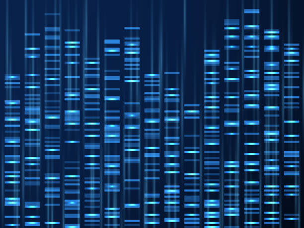 ゲノムデータの可視化。dnaゲノム配列、医療遺伝マップ。系図バーコードベクターの背景 - genealogy research点のイラスト素材／クリップアート素材／マンガ素材／アイコン素材