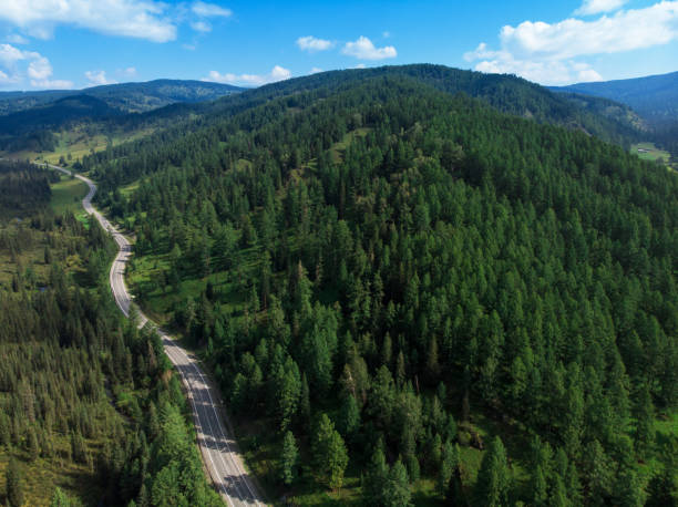 istock Chuysky trakt road in the Altai mountains 1314524052