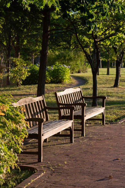 istock Park benches at dusk in summer 1314526406