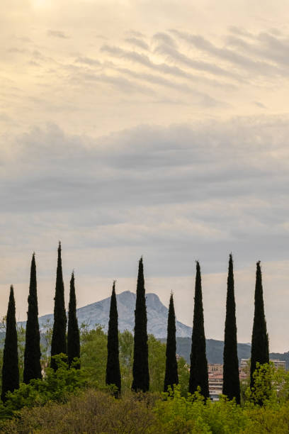 istock the Sainte Victoire mountain in the morning light 1314528342