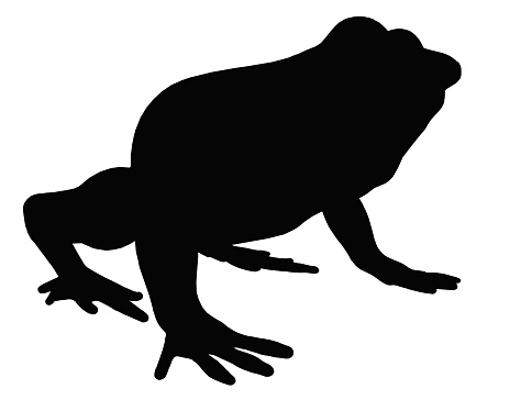 Computer generated 2D illustration with the silhouette of a frog