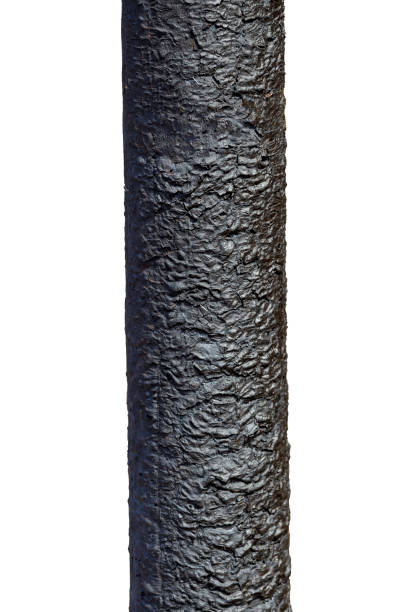 istock charred pillar isolated on a white background. burnt tree trunk 1314529008